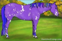 Horse Color:Painted Watercolor White Spotted Bay 