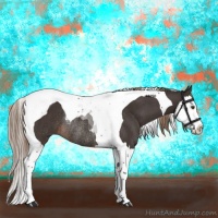 Horse Color:Liver Chestnut Splash Tobiano Rabicano
