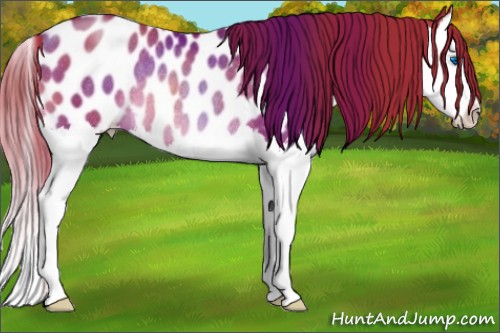 Horse Color:Chocolate Bay Pearl Splash Near Leopard Rabicano 