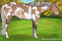 Horse Color:White Spotted Silver Brown Dun