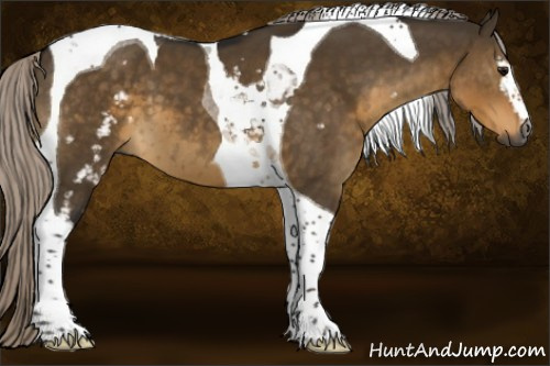 Horse Color:Gray White Spotted Silver Smoky Grullo Tobiano