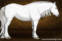 Horse Color:Gray Silver Smoky Black Tobiano 