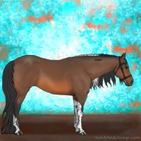 Horse Color:Bay Tobiano 