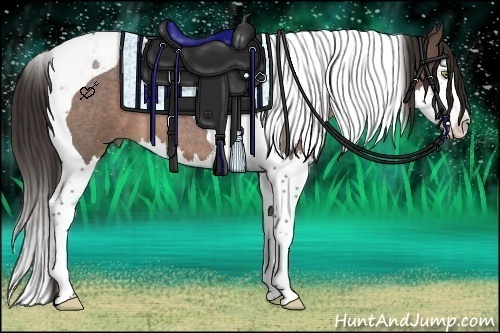 Horse Color:Liver Red Roan Splash Tobiano 