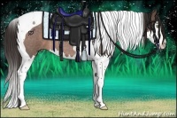 Horse Color:Liver Red Roan Splash Tobiano 