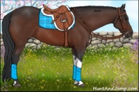 Horse Color:Brown Tobiano 