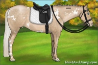 Horse Color:White Spotted Chocolate Palomino Pearl 