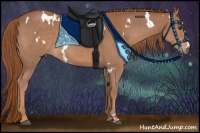 Horse Color:White Spotted Chestnut 