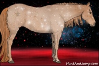 Horse Color:Chestnut Sabino