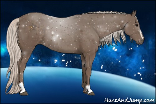 Horse Color:Silver Black Sabino