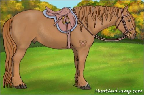 Horse Color:Chestnut Rabicano 