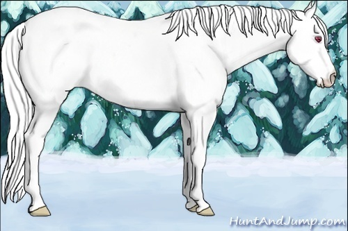 Horse Color:White Spotted Liver Red Onyx Chinchilla Tobiano Appaloosa 