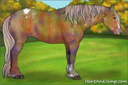 Horse Color:Nacre Silver Brown Sabino Appaloosa 