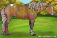 Horse Color:Nacre Silver Brown Sabino Appaloosa 