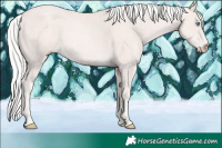 Horse Color:Cremello 