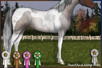 Horse Color:Brown Tobiano 
