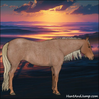 Horse Color:Red Roan 