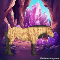 Horse Color:Bay  and Buckskin 