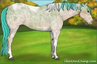 Horse Color:Watercolor Bay Ice Roan Tobiano