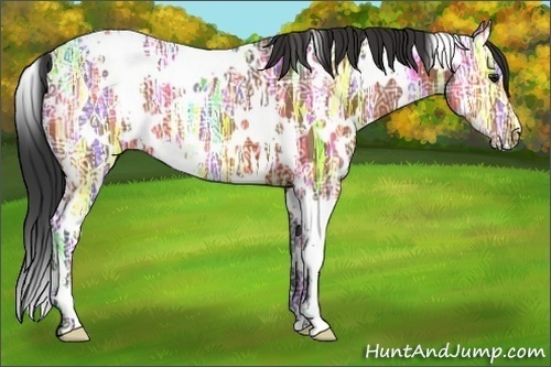 Horse Color:White Spotted Brown Ice