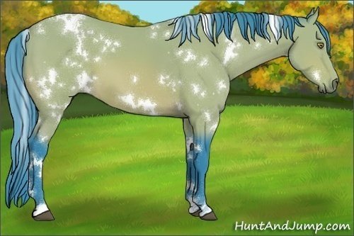 Horse Color:Watercolor White Spotted Bay 