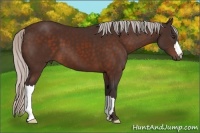 Horse Color:Silver Brown