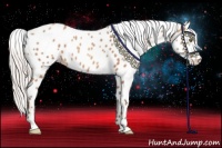 Horse Color:Silver Sable Champagne Leopard 