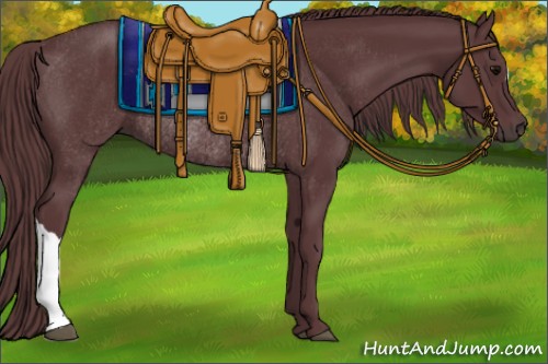 Horse Color:Chocolate Black Rabicano
