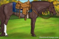 Horse Color:Chocolate Black Rabicano