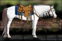 Horse Color:White Spotted Chocolate Black Appaloosa