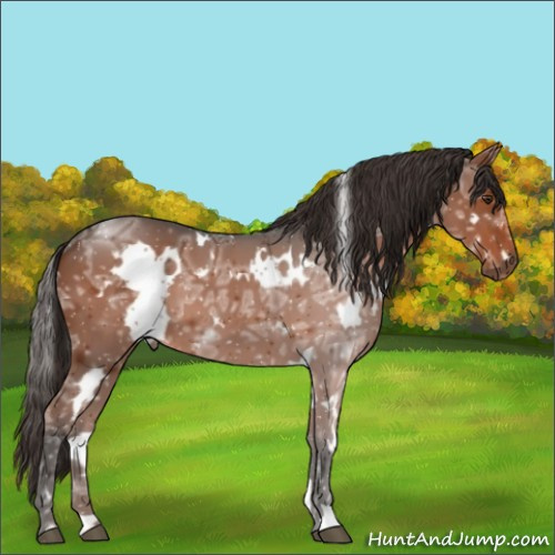 Horse Color:White Spotted Liver Chestnut Ice 