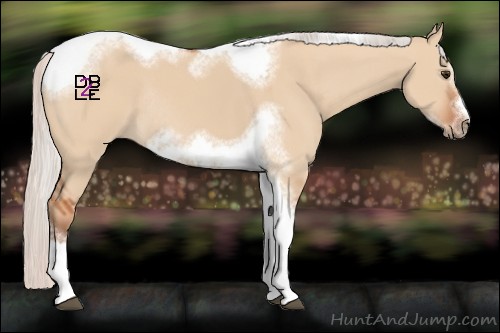 Horse Color:Silver Bay Dun Sabino Tobiano Frame Rabicano