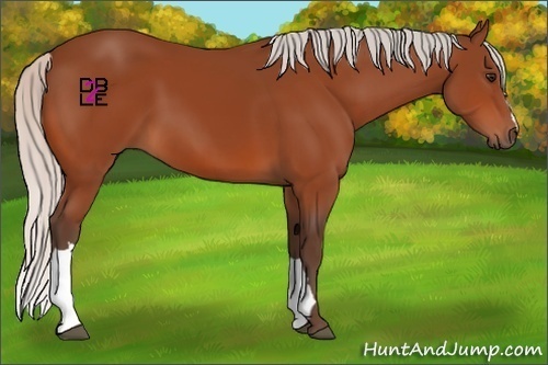 Horse Color:Silver Bay 