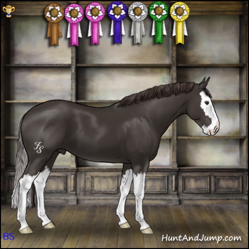 Horse Color:Liver Chestnut Sabino Splash 