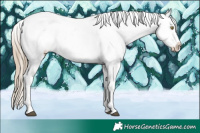 Horse Color:White Spotted Chocolate Palomino Mushroom Appaloosa 