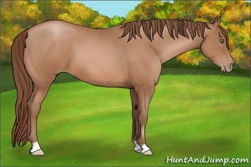 Horse Color:Brown Pearl 