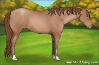 Horse Color:Brown Pearl 