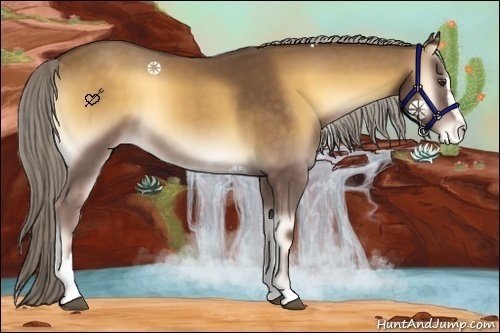 Horse Color:Chocolate Palomino Onyx Sabino Varnish