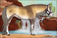 Horse Color:Chocolate Palomino Onyx Sabino Varnish