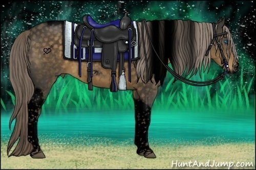 Horse Color:Void Chocolate Palomino Tobiano Frame 