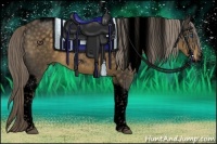 Horse Color:Void Chocolate Palomino Tobiano Frame