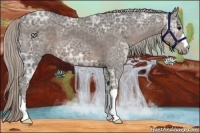 Horse Color:Silver Black Ice