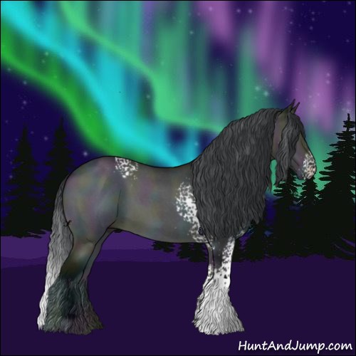 Horse Color:White Spotted Midnight Brown Chinchilla Roan Onyx