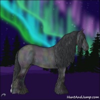 Horse Color:Midnight Brown Chinchilla Ice Roan Onyx 
