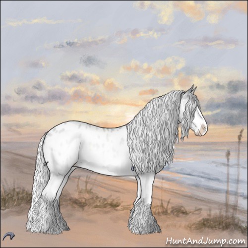 Horse Color:Silver Brown Chinchilla Dun Splash Blanket 
