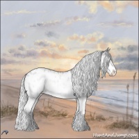 Horse Color:Silver Brown Chinchilla Dun Splash Blanket 