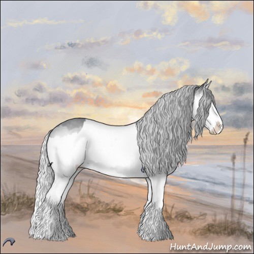 Horse Color:Silver Brown Chinchilla Roan Dun Splash