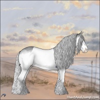 Horse Color:Silver Brown Chinchilla Roan Dun Splash 
