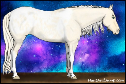 Horse Color:Gold Cream Champagne Roan Dun Splash Tobiano Frame Appaloosa Rabicano 