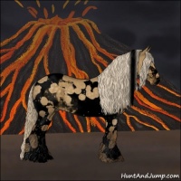 Horse Color:Void Chocolate Palomino Dun Tobiano 